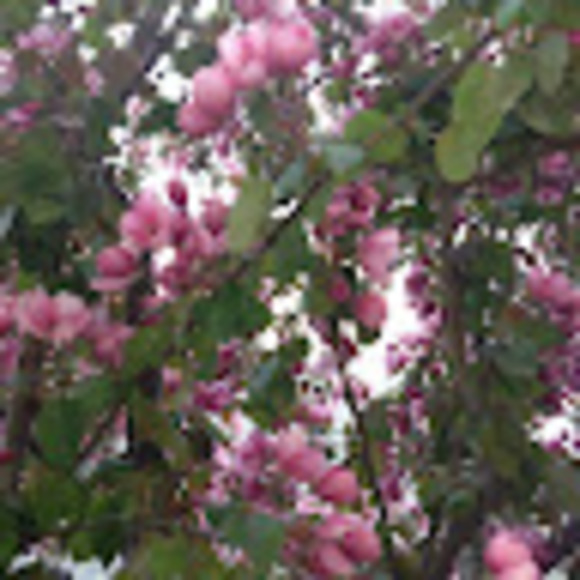 Meet your Posher, Noah - Picture 1 of 1